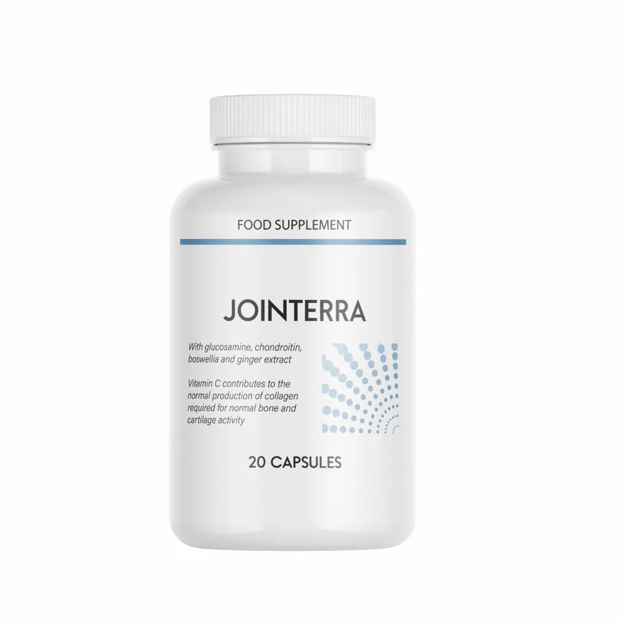 Jointerra — Imagine: 3