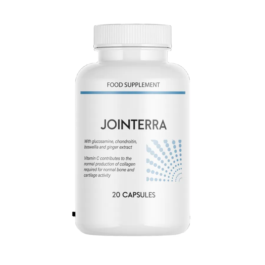 Jointerra — Imagine: 5